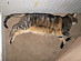 View full size picture