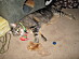 View full size picture