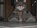 View full size picture