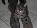 View full size picture