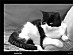 View full size picture