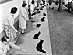 View full size picture