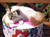 View full size picture
