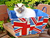View full size picture
