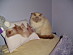 View full size picture