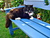 View full size picture