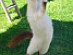 View full size picture