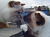 View full size picture