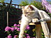 View full size picture