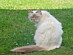 View full size picture