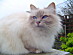 View full size picture