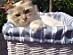 View full size picture