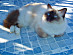 View full size picture