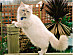 View full size picture