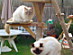 View full size picture