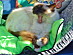 View full size picture