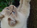 View full size picture