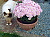 View full size picture