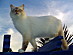 View full size picture