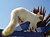 View full size picture