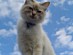 View full size picture