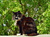 View full size picture