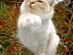 View full size picture