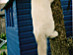 View full size picture