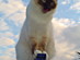 View full size picture