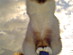 View full size picture
