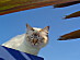 View full size picture