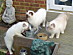View full size picture