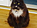 View full size picture