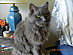 View full size picture