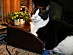 View full size picture