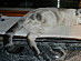 View full size picture