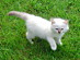 View full size picture