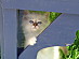 View full size picture