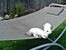 View full size picture