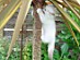 View full size picture