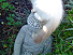 View full size picture
