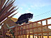 View full size picture