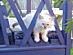 View full size picture