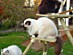 View full size picture