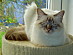View full size picture