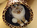 View full size picture