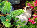 View full size picture
