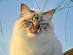 View full size picture