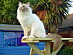 View full size picture