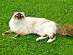 View full size picture